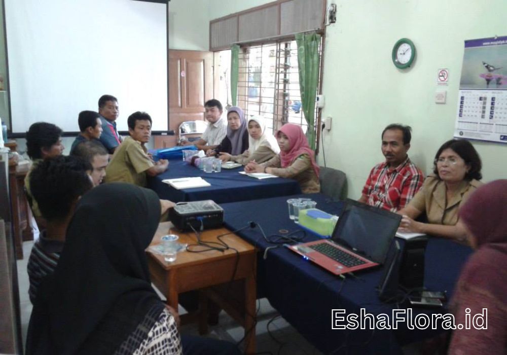 EshaFlora.id (2)
