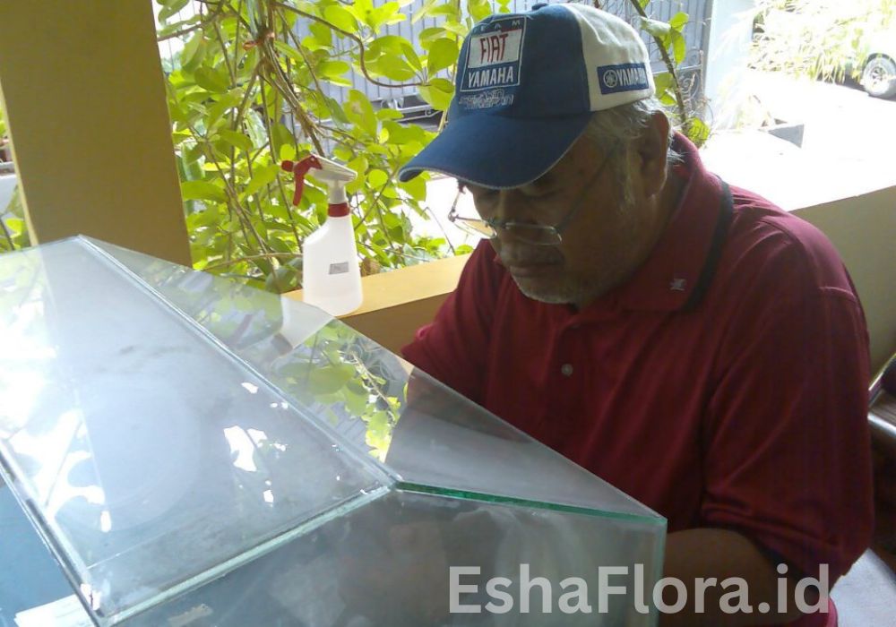 pelatihan kultur jaringan esha flora 2