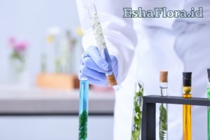 Bibit Kultur Jaringan untuk Perbanyakan Tanaman Berkualitas