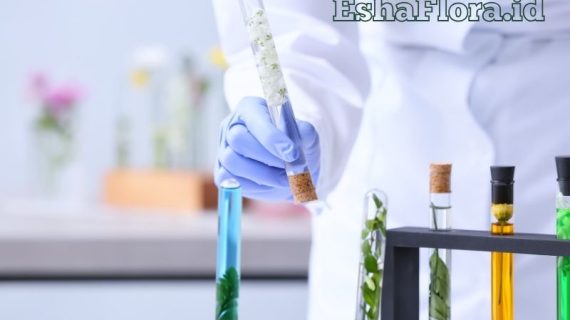 Bibit Kultur Jaringan untuk Perbanyakan Tanaman Berkualitas