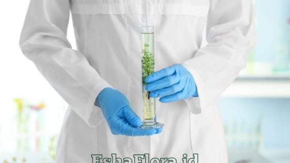 Kultur Jaringan Daun Teknik, Manfaat, dan Aplikasinya untuk Tanaman Hias